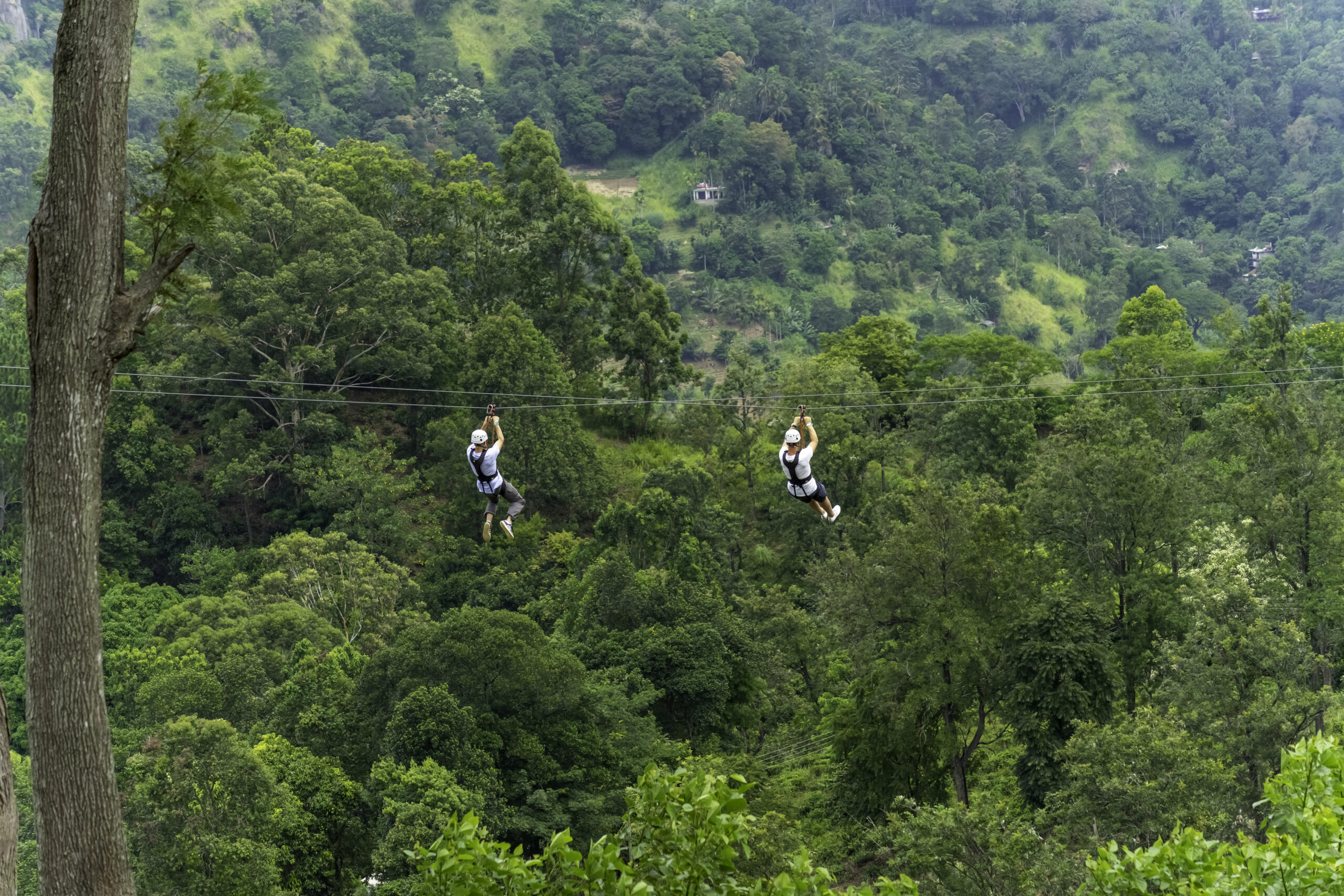 Try ziplining and canopy walks in the Bokeo Nature Reserve (Gibbon Experience)