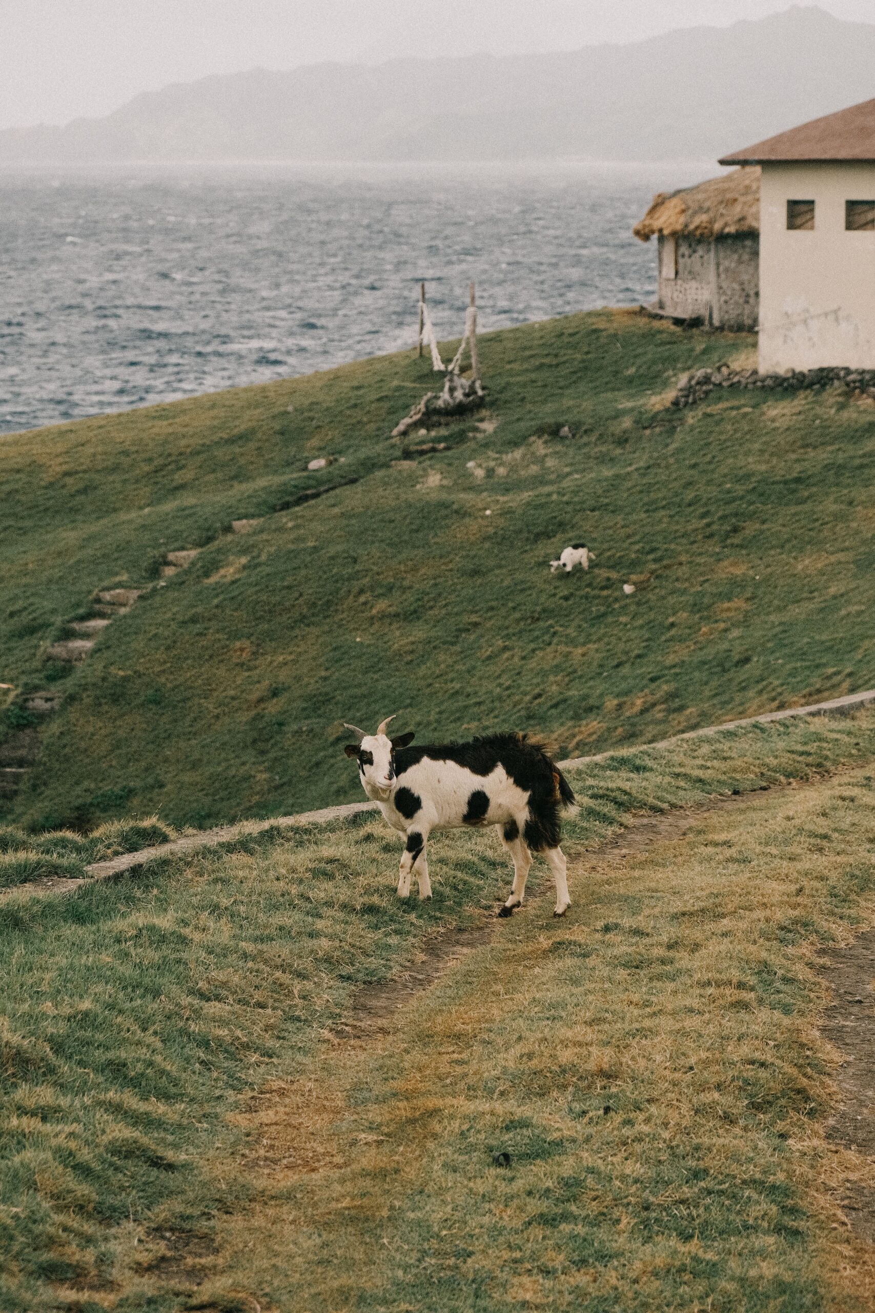 Batanes, collines battues par les vents