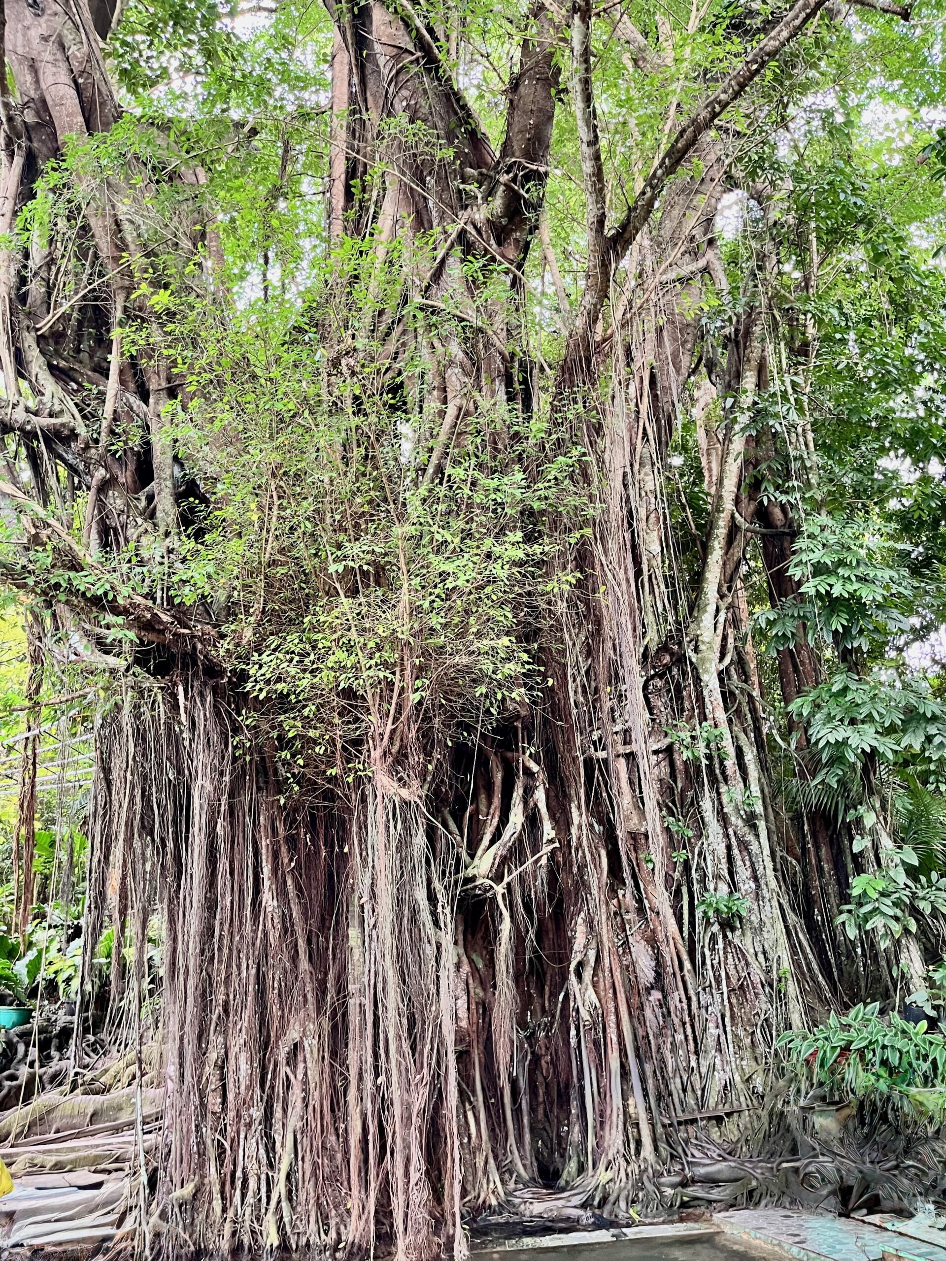 Siquijor, Philippines
