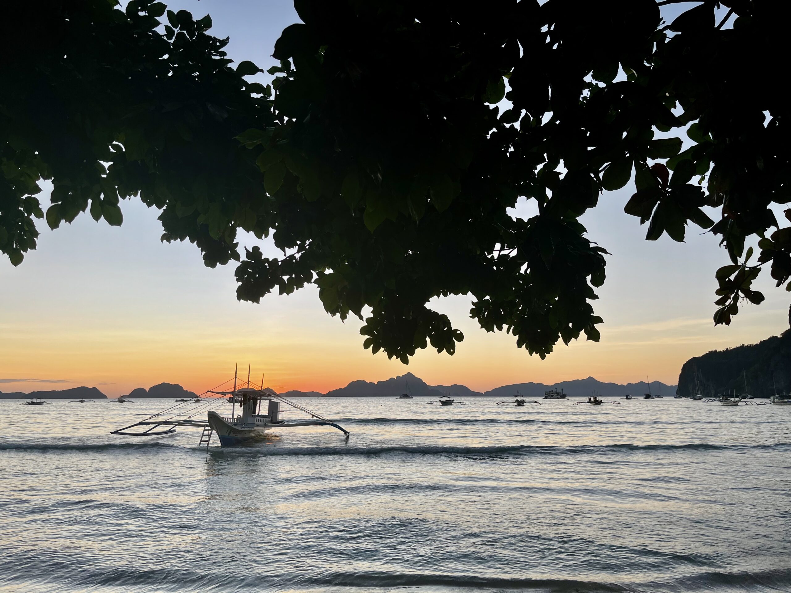 EL NIDO