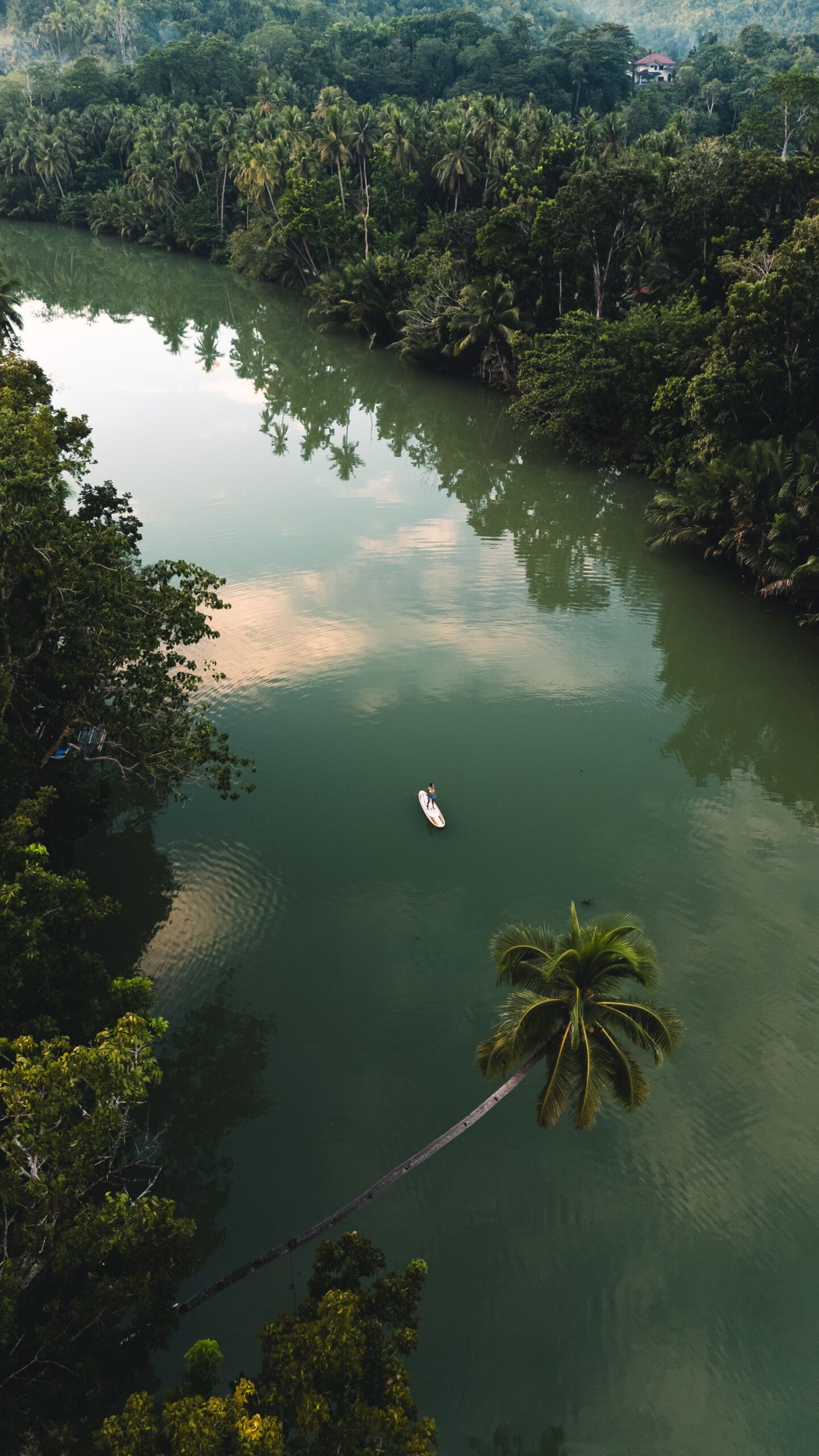 Rivière Loboc, Bohol
