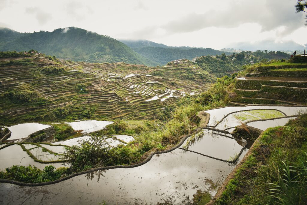 Philippines Rizières et montagnes de Luzon