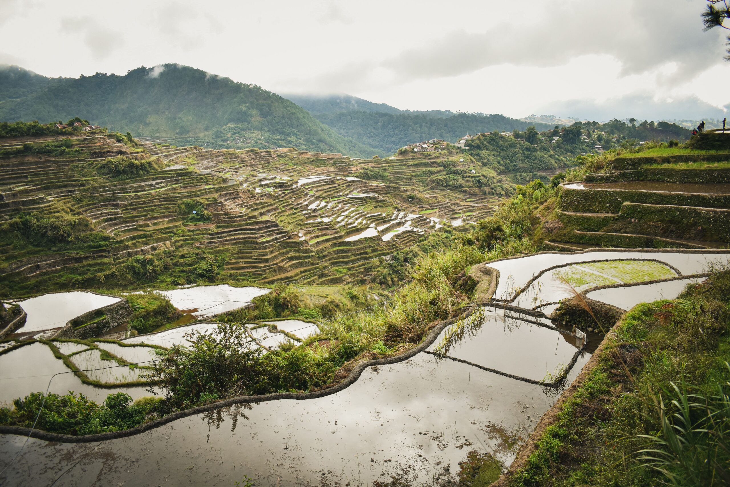 Luzon, rizières et montagnes