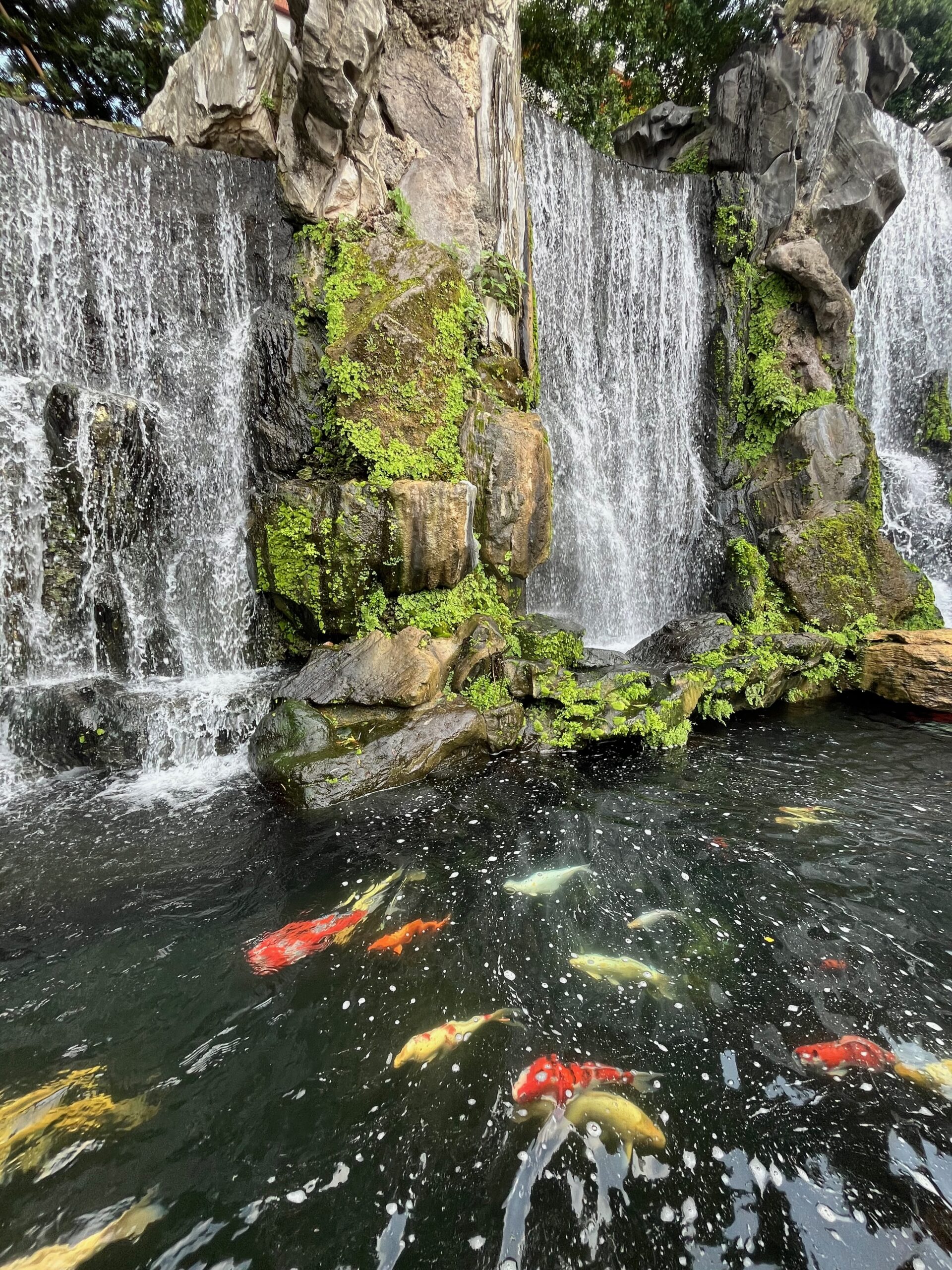 Taiwan Bassin et cascade à l'entrée du temple Longshan, carpes koï