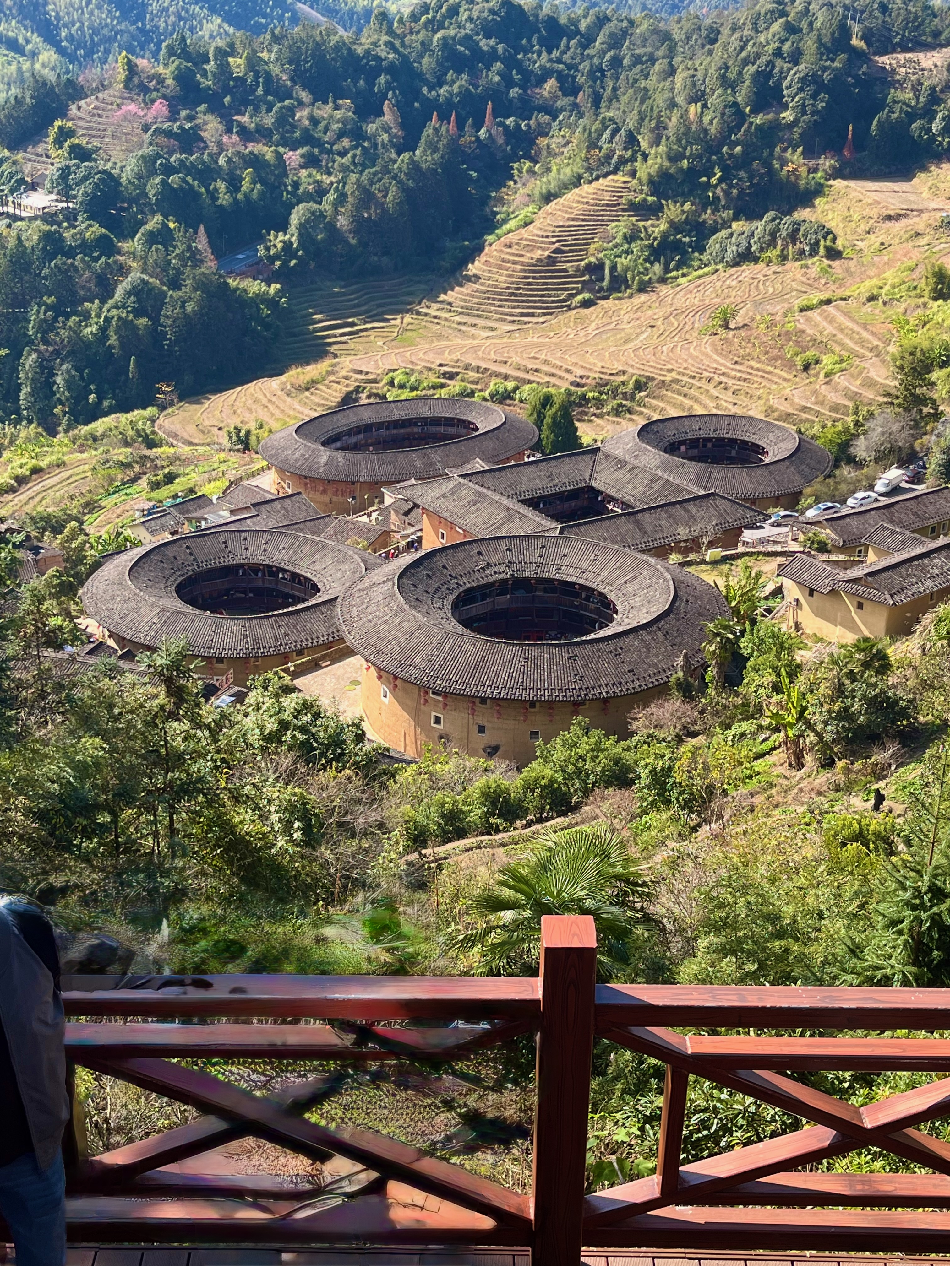 Vue en hauteur sur le cluster de tulou du pays des tulou, rizières en terrasses en arrière-plan