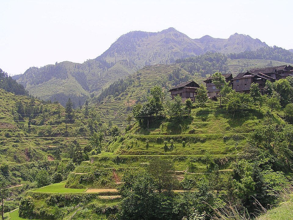 Rizières en terrasses et maisons en bois du village de Jilun, près de Zhaoxing, Guizhou